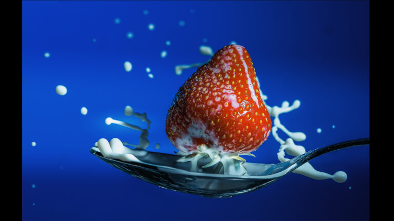 LMIFV Food 768x431